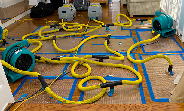 Professional Basement Flood Cleanup technician working in Kenmore, WA